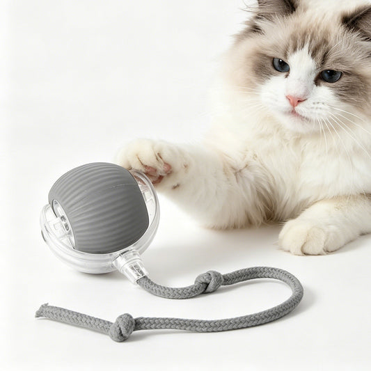 The Rolling Ball — Self-Moving Cat Toy