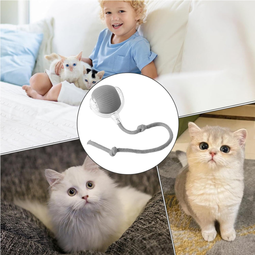 The Rolling Ball — Self-Moving Cat Toy