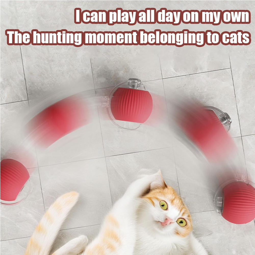 The Rolling Ball — Self-Moving Cat Toy