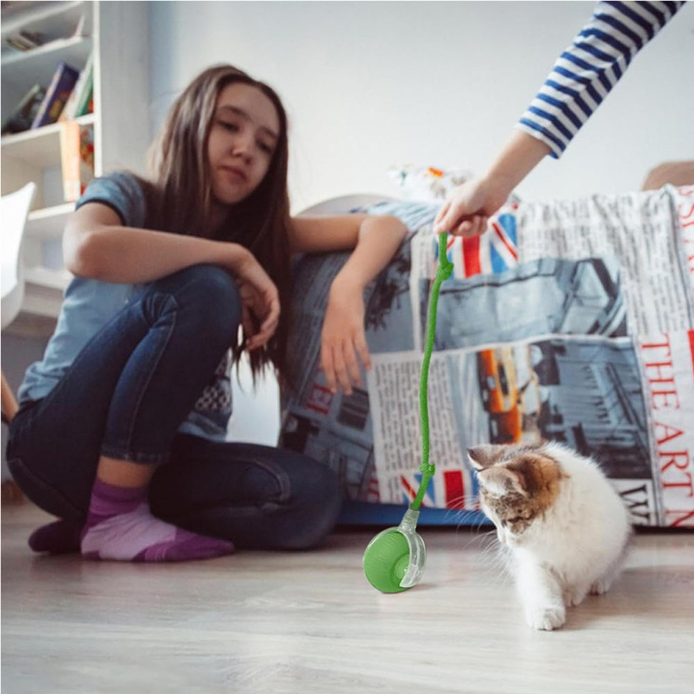 The Rolling Ball — Self-Moving Cat Toy