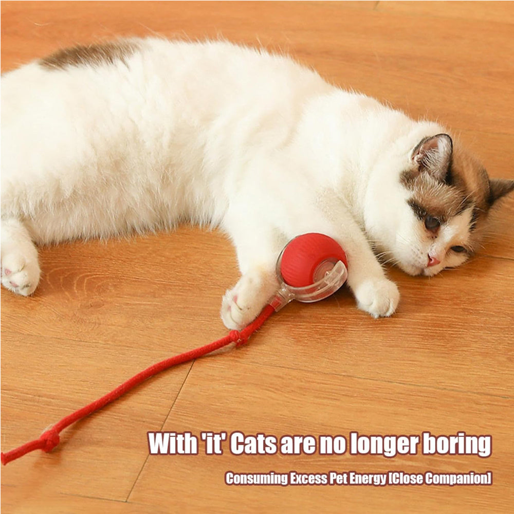 The Rolling Ball — Self-Moving Cat Toy