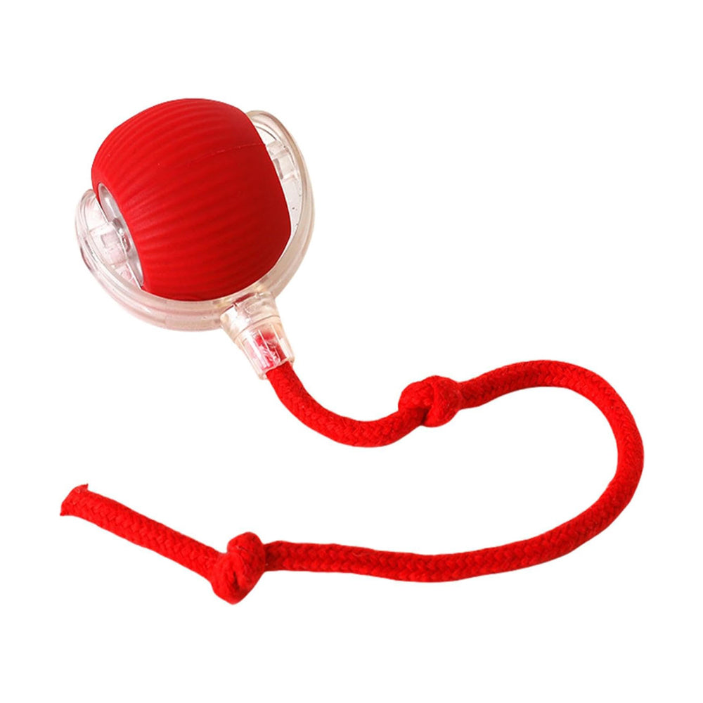 The Rolling Ball — Self-Moving Cat Toy